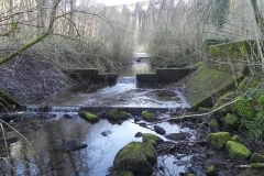 5. Looking upstream from ROW Bridge