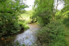 1. Downstream from Edbrooke Bridge (1)