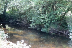1. Downstream from Edbrooke Bridge (2)