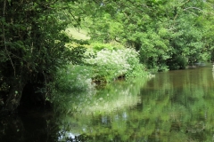 1. Downstream from Edbrooke Bridge (3)
