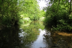 1. Downstream from Edbrooke Bridge (4)
