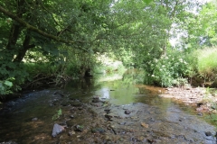1. Downstream from Edbrooke Bridge (5)
