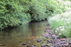 1. Downstream from Edbrooke Bridge (9)