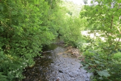 2. Looking upstream from Exe Footbridge
