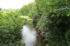 5. Looking downstream from Exe Footbridge