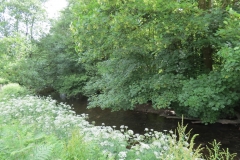 6. Downstream from Exe Footbridge (4)