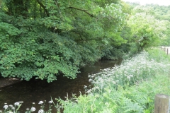 6. Downstream from Exe Footbridge (5)