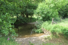 6. Downstream from Exe Footbridge (8)