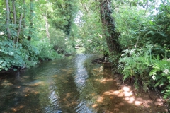 6. Downstream from Exe Footbridge (9)