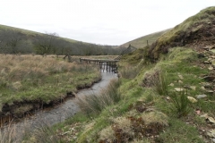 101. Flowing below Wintershead Farm