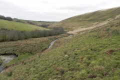 102. Flowing below Wintershead Farm