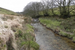 105. Flowing below Horsen Farm