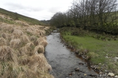 106. Flowing below Horsen Farm
