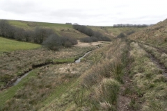 107. Flowing below Horsen Farm