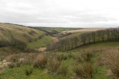 111. Looking downstream to Long Holcombe Water