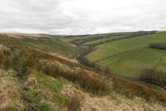 113. Looking upstream from Long Holcombe