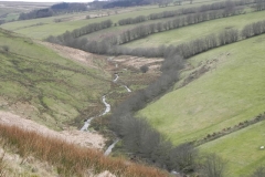 114. Valley below Wintershead Farm