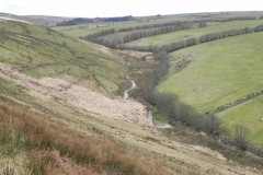 115. Valley below Wintershead Farm