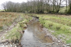 94. Flowing below Wintershead Farm
