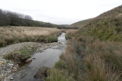 95. Flowing below Wintershead Farm