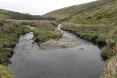 97. Flowing below Wintershead Farm
