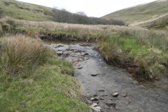 98. Flowing below Wintershead Farm