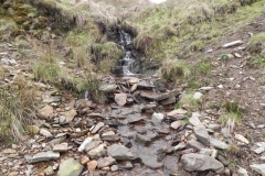 99. Small stream joins from the south