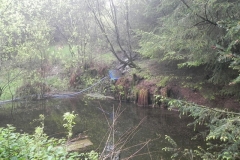 1. Source near Withiel Hill