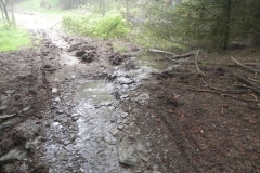 2. Source near Withiel Hill
