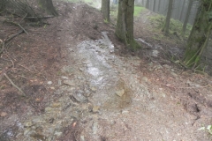 3. Source near Withiel Hill