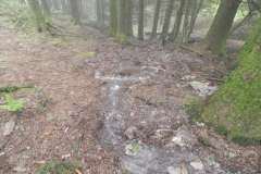 5. Source near Withiel Hill