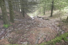6. Source near Withiel Hill