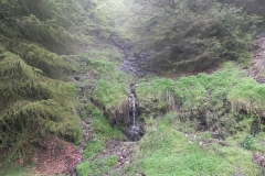 2. Source near Withiel Hill