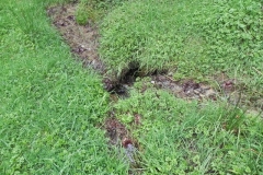 3. Source near Withiel Hill