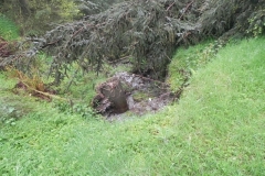4. Source near Withiel Hill