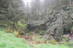 6. Source near Withiel Hill