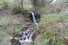 1. Tributary Stream Uppington Plantation_640x480
