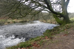 12. Weir near Ham Wood_640x480