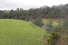 13. Near Pitt Wood_640x480