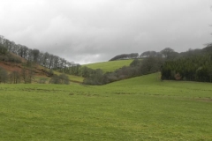 14. Looking up to Oakbeer Wood_640x480