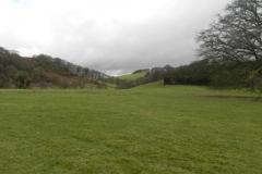 15. Looking up to Oakbeer Wood_640x480