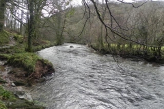 16. Below Pitt Wood_640x480