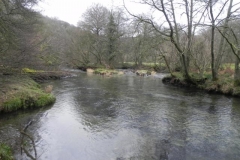 17. Near Pitt Wood_640x480