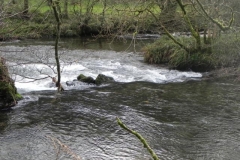 18. Near Pitt Wood_640x480