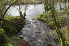 19. Tributary stream near ROW Bridge 1898_640x480