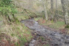 20. Tributary stream near ROW Bridge 1898_640x480