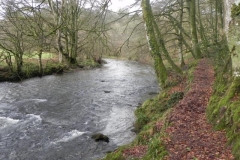 22. Below Park Wood_640x480