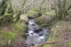 23. Tributary Stream from Park Wood_640x480