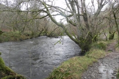 26. Near Lea Wood_640x480