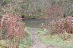 27. Horse crossing Near Lea Wood_640x480